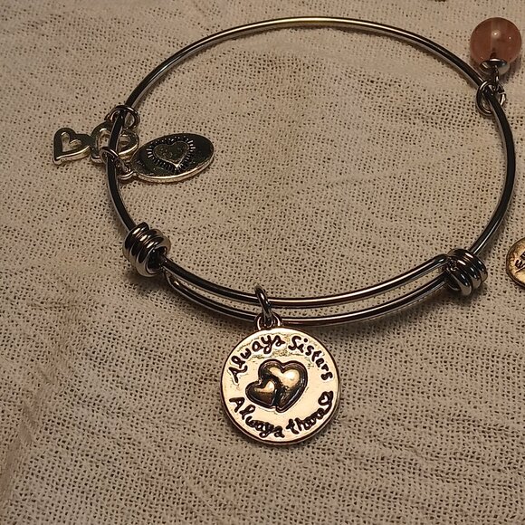 Alex and Ani lot of 9 bangle bracelets silver & brass tones + 1 Footnotes - Picture 15 of 16